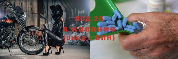 ПСИЛОЦИБИНОВЫЕ ГРИБЫ Алзамай