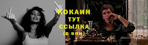 гашик Алексеевка