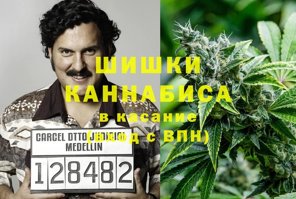 крисы Алексин