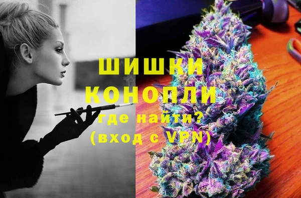ПСИЛОЦИБИНОВЫЕ ГРИБЫ Алзамай