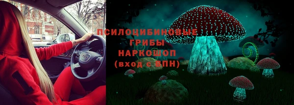 ПСИЛОЦИБИНОВЫЕ ГРИБЫ Алзамай